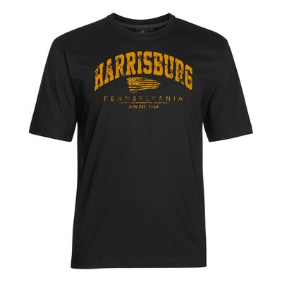 T-Shirt AHORN SPORTSWEAR "HARRISBURG", Herren, Gr. 6XL, schwarz, 100% Baumwolle, bedruckt, normal, Rundhals, Shirts T-Shirt, mit sportlichem Print