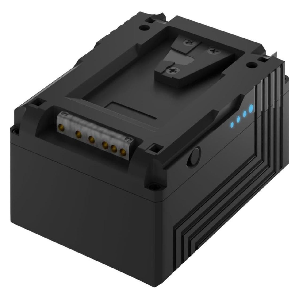 Newell Battery Battery BP-V95 SLIM V-shaped holder (Kamera Akku) (N-BAT-BP-V95-SLIM)