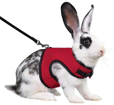 Pet Hub Adjustable Soft Harness & Elastic Leash For Rabbits Bunny Vest Suit M 4