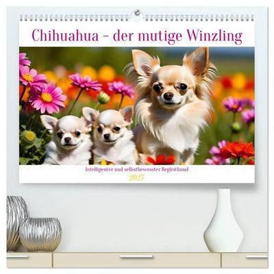 Chihuahua - der mutige Winzling (hochwertiger Premium Wandkalender 2027 DIN A2 quer), Kunstdruck in Hochglanz