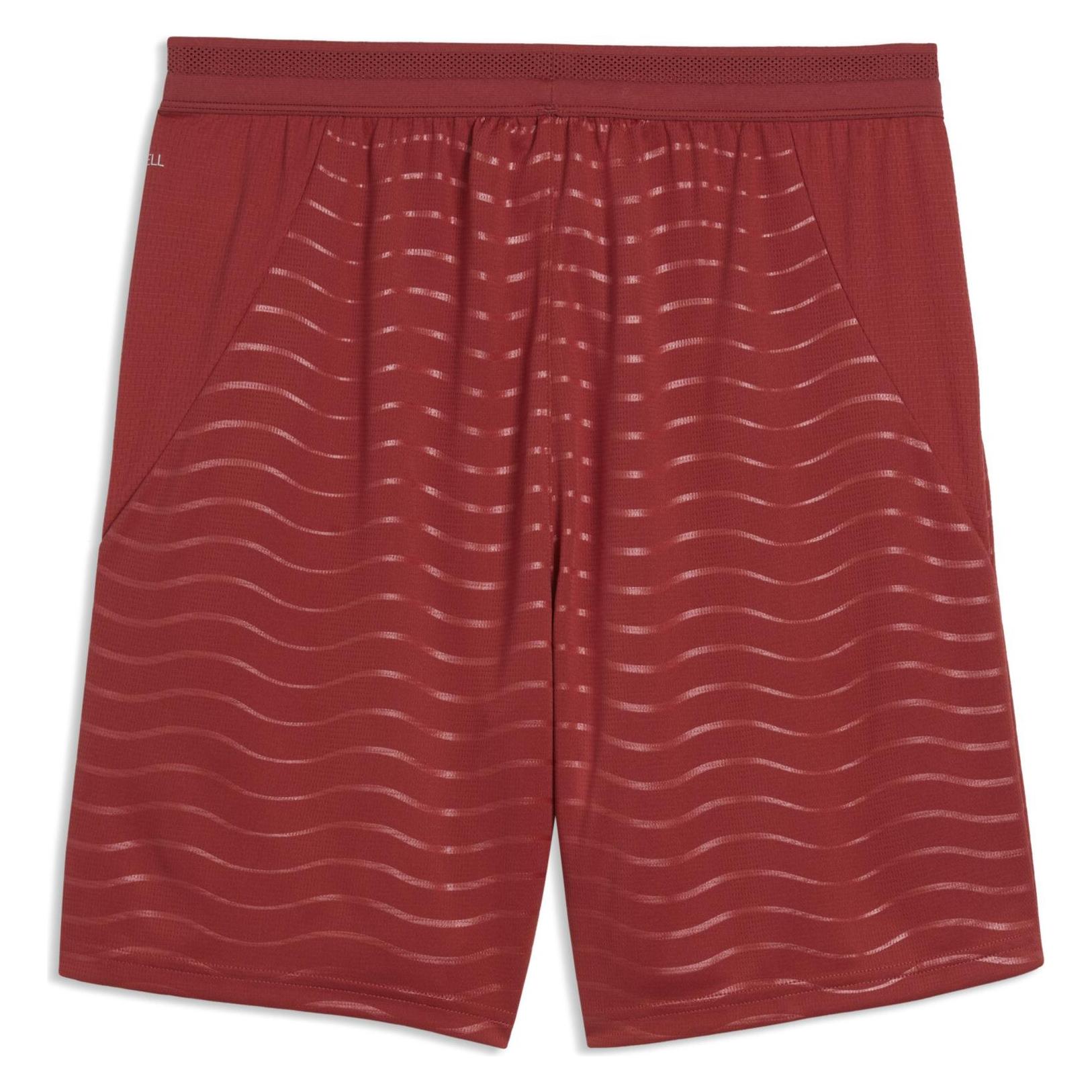 Puma FPF Shorts Replica (XL) (783299)