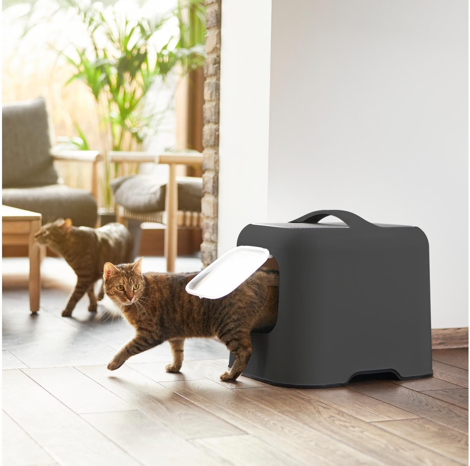 Katzentoilette ROTHO "BIALA", grau, B:35,9cm H:44,3cm L:51cm, Tiertoiletten, Katzentoilette grau B/H/L: 35,9cm x 44,3cm x 51cm
