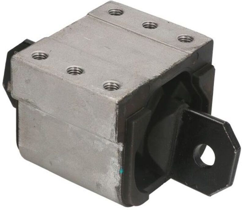 Lagerung, Getriebe REINHOCH RH12-3005, Hinten, Links