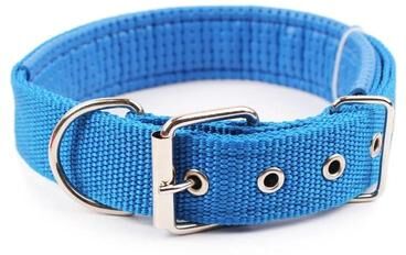 Uplift Essentials Solid Nylon Dog Collar blue s