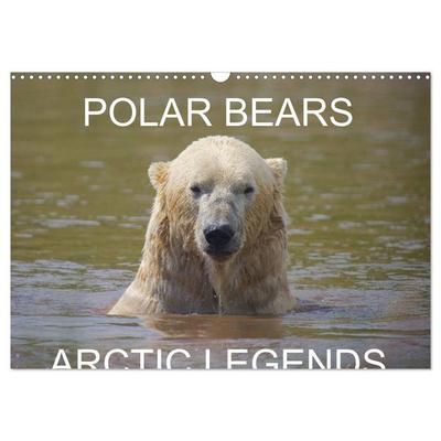 POLAR BEARS - ARCTIC LEGENDS (Wall Calendar 2026 DIN A3 landscape), CALVENDO 12 Month Wall Calendar