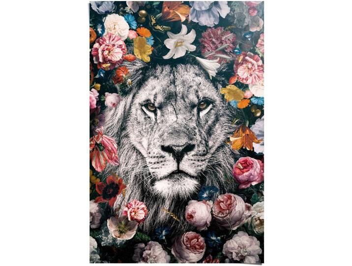 Poster REINDERS Löwe Blumenkranz - Pflanzen - Farbenfroh , bunt (farbe bild(er): mehrfarbig), B:61cm H:91,5cm, Papier, Bilder, Poster