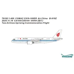 Panda Model Air China C919-100ER B-919Z 79192