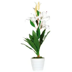 meet Kunstpflanze »Lilienblume« 65 cm, 65 cm