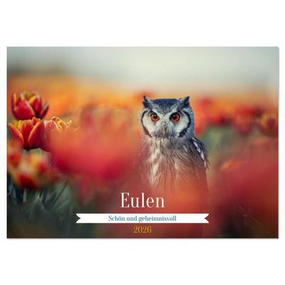 Eulen - schön und geheimnisvoll (Wandkalender 2026 DIN A2 quer), CALVENDO Monatskalender