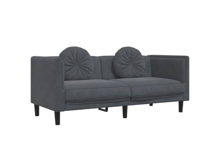 GHVBNMF 2-Sitzer Sofa mit 2 Kissen Dunkelgrau Samt Polstersofa 173.5cm Komfortables Polstermöbel für Wohnzimmer und Schlafzimmer mit weichem Samtbezug, Holzbeinen und 2 runden Kissen.