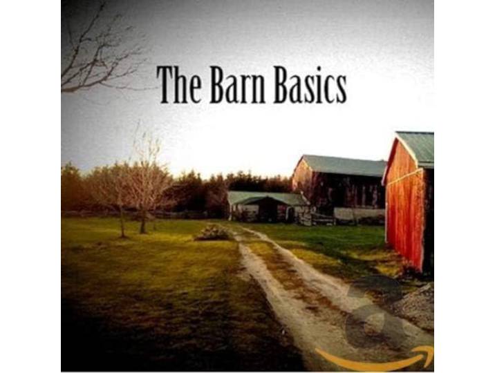 Ad Vanderveen - The Barn Basics