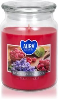 BISPOL Premium Line Raspberry -Lavender vela perfumada 500 g. Premium Line Raspberry -Lavender