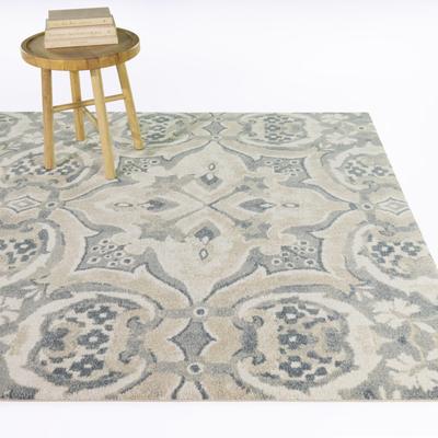 Balta Rugs Arcas Botanical Medallion Area Rug