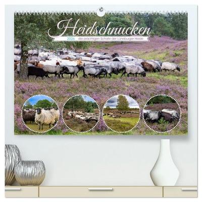 Heidschnucken, die prächtigen Schafe der Lüneburger Heide (hochwertiger Premium Wandkalender 2026 DIN A2 quer), Kunstdruck in Hochglanz