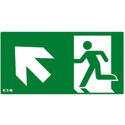 Ceag Notlichtsysteme Piktogramm FT2EWEC-PICTO-UL