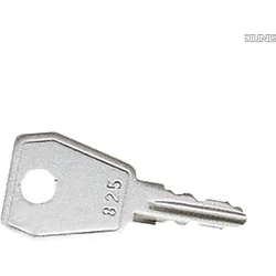 Jung 815SL Ersatzschlüssel für alle Klapp- deckel mit Sicherheitsschloss