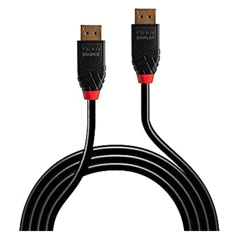 Lindy Kabel DisplayPort - DisplayPort 5,1m schwarz (41167) (5 m) (41167)