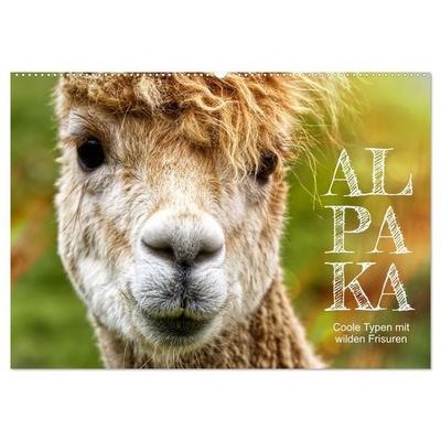 Alpaka, coole Typen mit wilden Frisuren (Wandkalender 2027 DIN A2 quer), CALVENDO Monatskalender