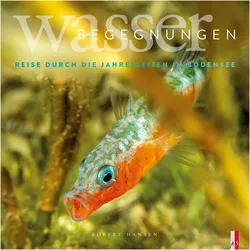 Wasser Begegnungen, Ratgeber von Robert Hansen