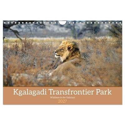 Kgalagadi - Fauna und Wildtiere in der Kalahari (Wandkalender 2027 DIN A4 quer), CALVENDO Monatskalender