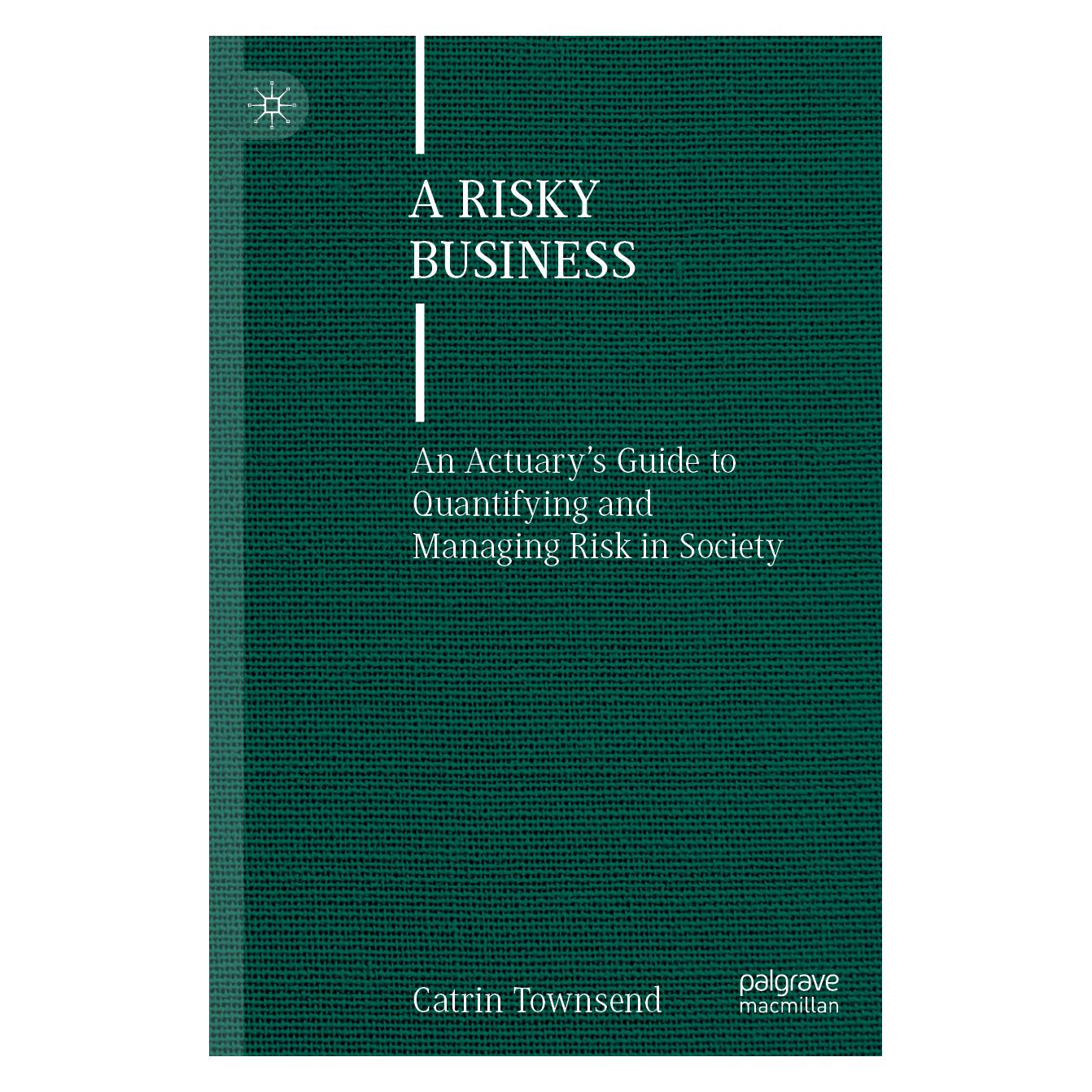 Springer A Risky Business (Englisch, Softcover, Catrin Townsend) (56969137)