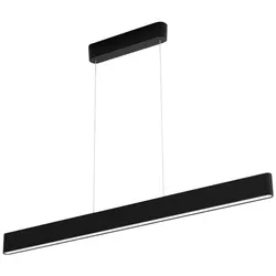Philips Hue White and Color Ambiance Ensis - Hängeleuchte - LED x 2 - gesamt: 79 W (Entsprechung 350 W)