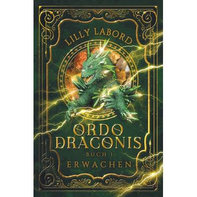 Ordo Draconis - Erwachen, Taschenbuch von Lilly Labord, Tolino media, 978-3-8194-6845-2