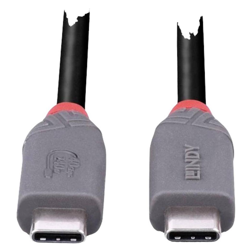 Lindy 36958 USB Kabel 2 m USB4 Gen 3x2 USB C Schwarz (2 m, USB 4, 240 W) (36958)