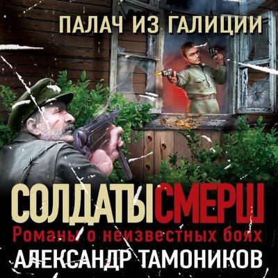 Palach iz Galicii - Alexander Tamonnikov, Audio, 9785041617110