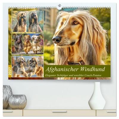 Afghanischer Windhund. Eleganter Sichtjäger und sensibler Couch-Potatoe (hochwertiger Premium Wandkalender 2027 DIN A2 quer), Kunstdruck in Hochglanz