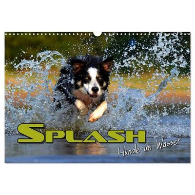 SPLASH - Hunde im Wasser (Wandkalender 2027 DIN A3 quer), CALVENDO Monatskalender