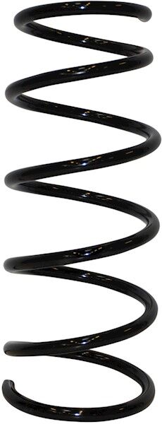 Jp Group Fahrwerksfeder 4342205300 Vorderachse Für Nissan Renault