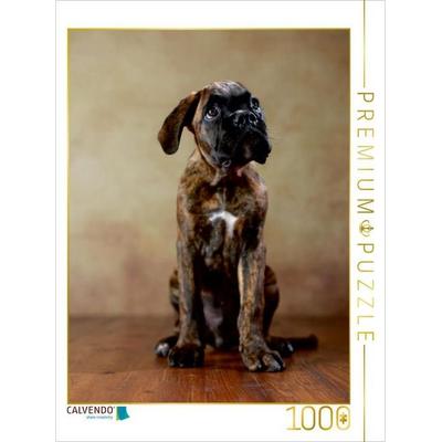CALVENDO Puzzle Gonzo, 11 Wochen | 1000 Teile Lege-Größe 64 × 48 cm Foto-Puzzle für glückliche Stunden