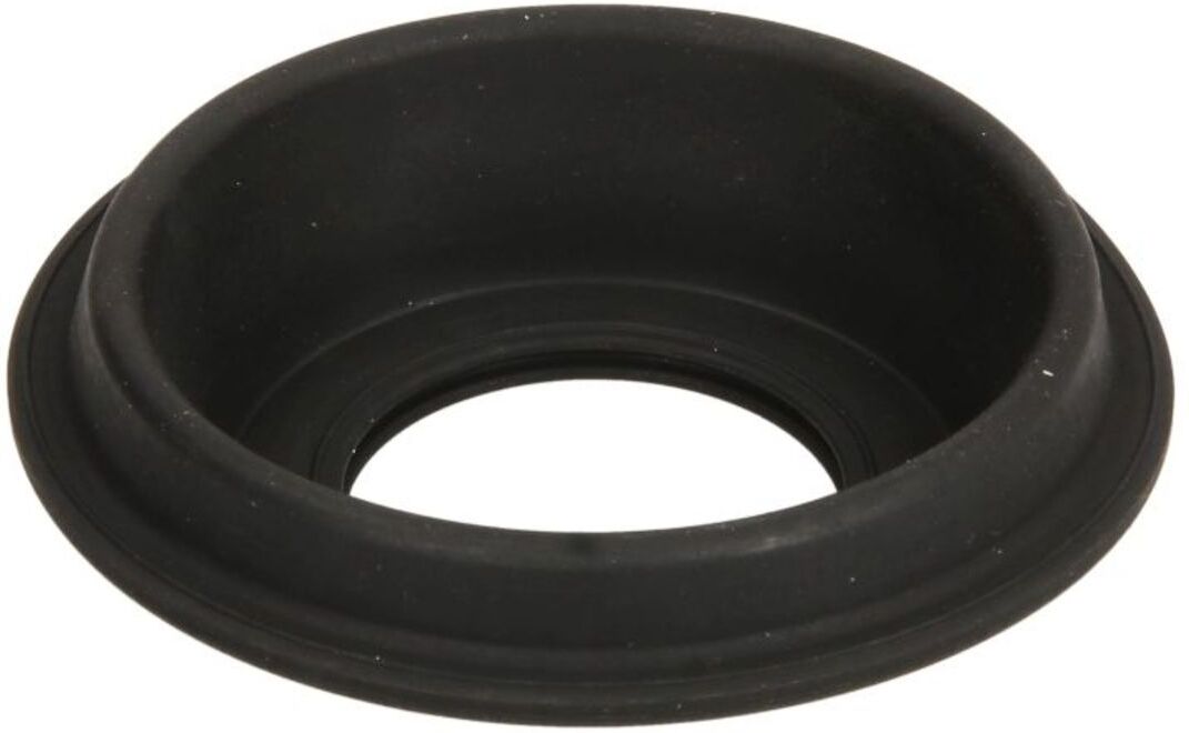 Membrane du carburateur KEYSTER N-209050