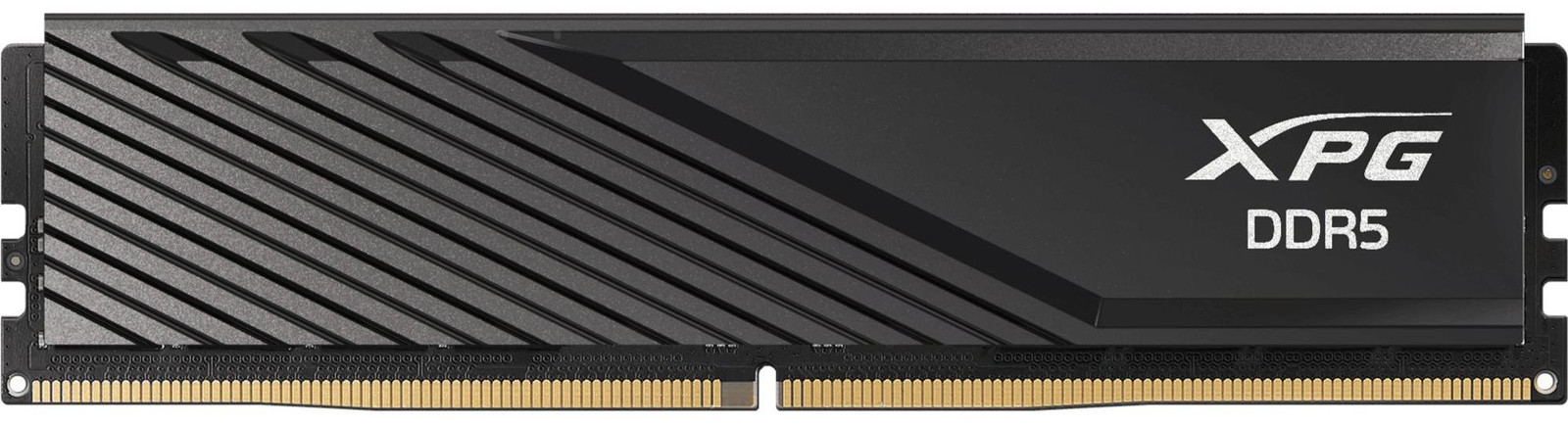 ADATA DIMM 16 GB DDR5-6000 geheugenmodule
