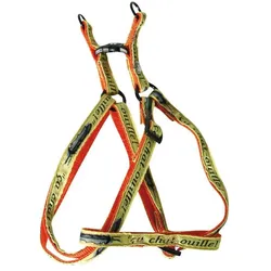 Martin Sellier Thon Ouille (Katze, Spazieren), Halsband + Leine