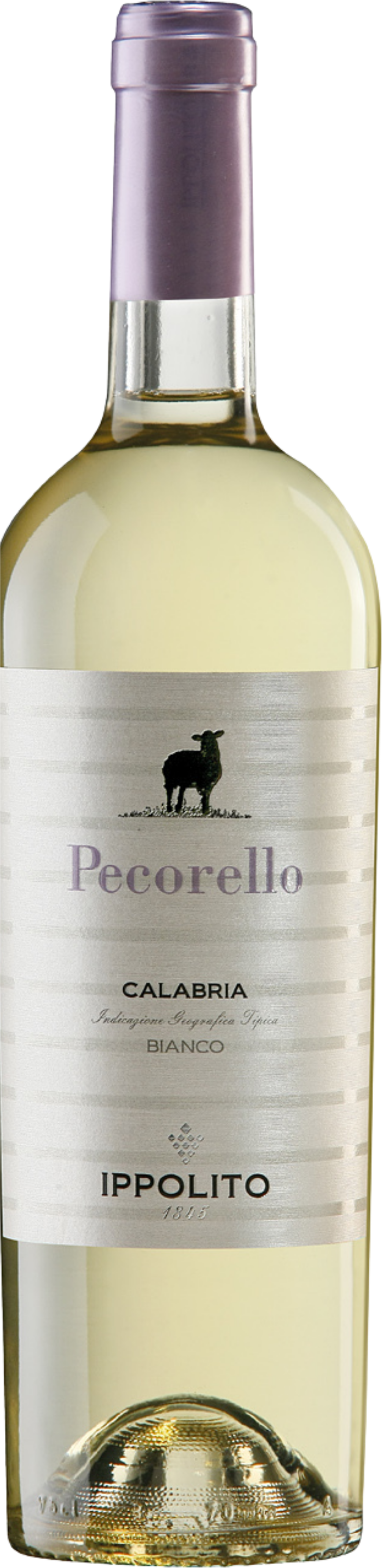 'Pecorello' Ippolito 1845 2025