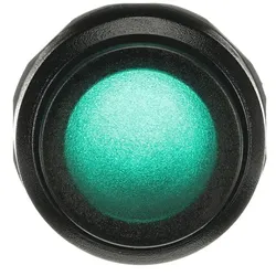 ABB MP3-11G Leuchtdrucktaster, grün, hoch-tastend, Frontring, Kunststoff schwarz beleuchtbar 1SFA611102R1102