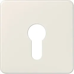 Jung Abdeckung für Schlüsselschalter (weiß)