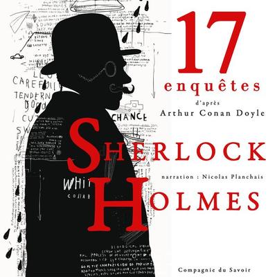 17 nouvelles enquêtes de Sherlock Holmes et du Dr Watson - Arthur Conan Doyle, Audio, 9782821110939