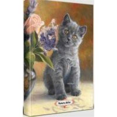 Masum Kedi - Planlama Defteri, Taschenbuch von Kolektif, Halk Kitabevi