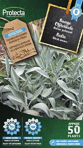 Protecta Biologische Salie Kruidenzaden