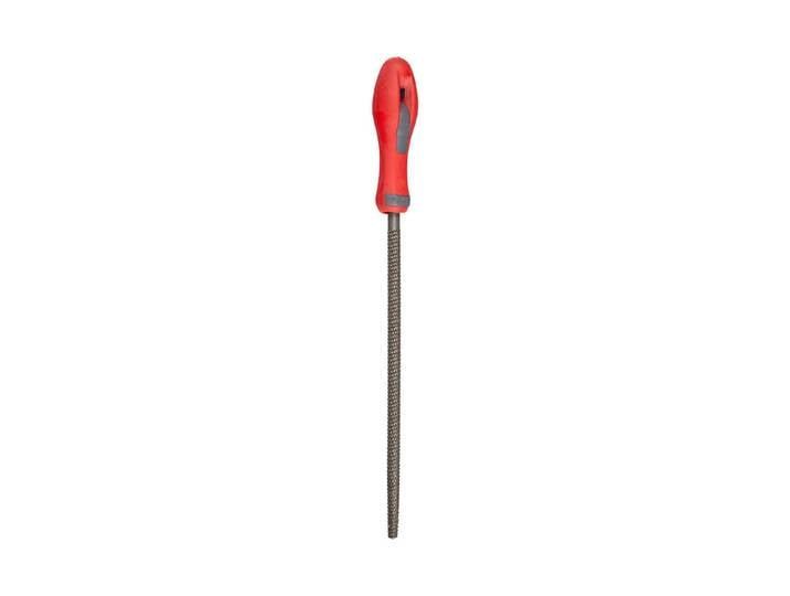 Ayce Raspel mit 2K-Griff 38.5 × 6 × 0.3 cm