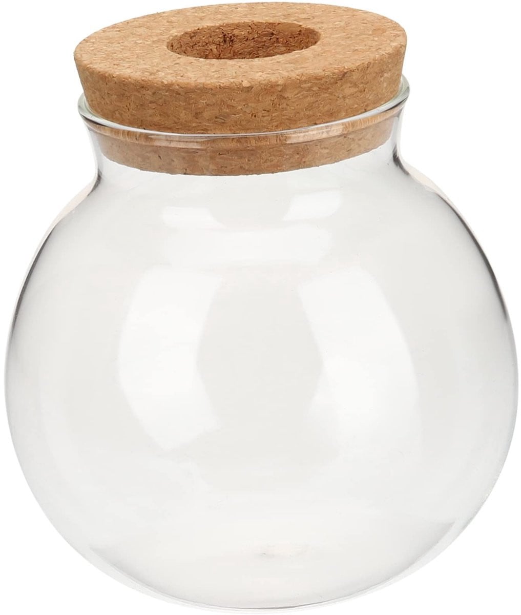 Dailygoods Glazen Hydrocultuur Vaas voor Planten en Terrariums