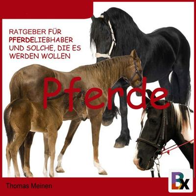 Ratgeber für Pferde-Liebhaber und solche, die es werden wollen - Thomas Meinen, Audio, 9783755421160