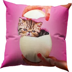 Dekokissen mit Daunenfüllung Toiletpaper Cat Surprise 50 x 50 cm