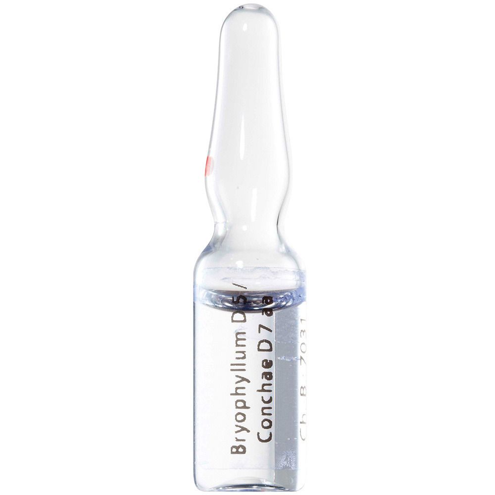 Bryophyllum D 5/Conchae 7 Ampullen 8x1 ml