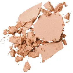 11g SENSAI CELLULAR PERFORMANCE Total Finish Foundation