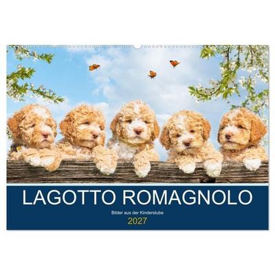 Lagotto Romagnolo - Bilder aus der Kinderstube (Wandkalender 2027 DIN A2 quer), CALVENDO Monatskalender