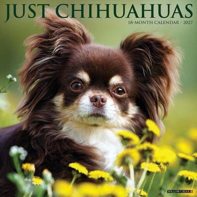Chihuahuas 2027 12 X 12 Wall Calendar